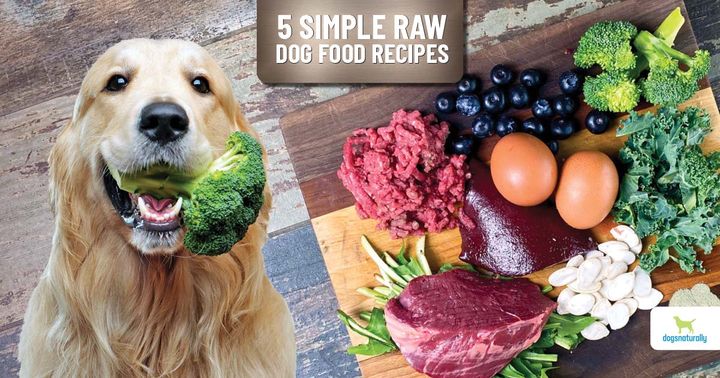 Do Dogs Need To Chew On Natural Stuff